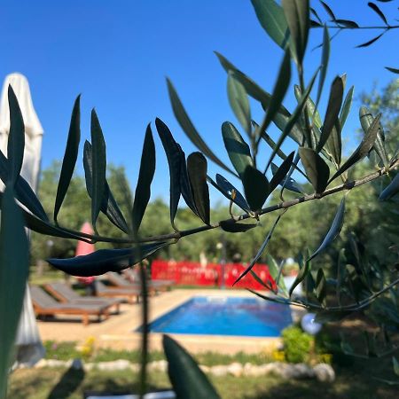 Annamaria Home بولا المظهر الخارجي الصورة