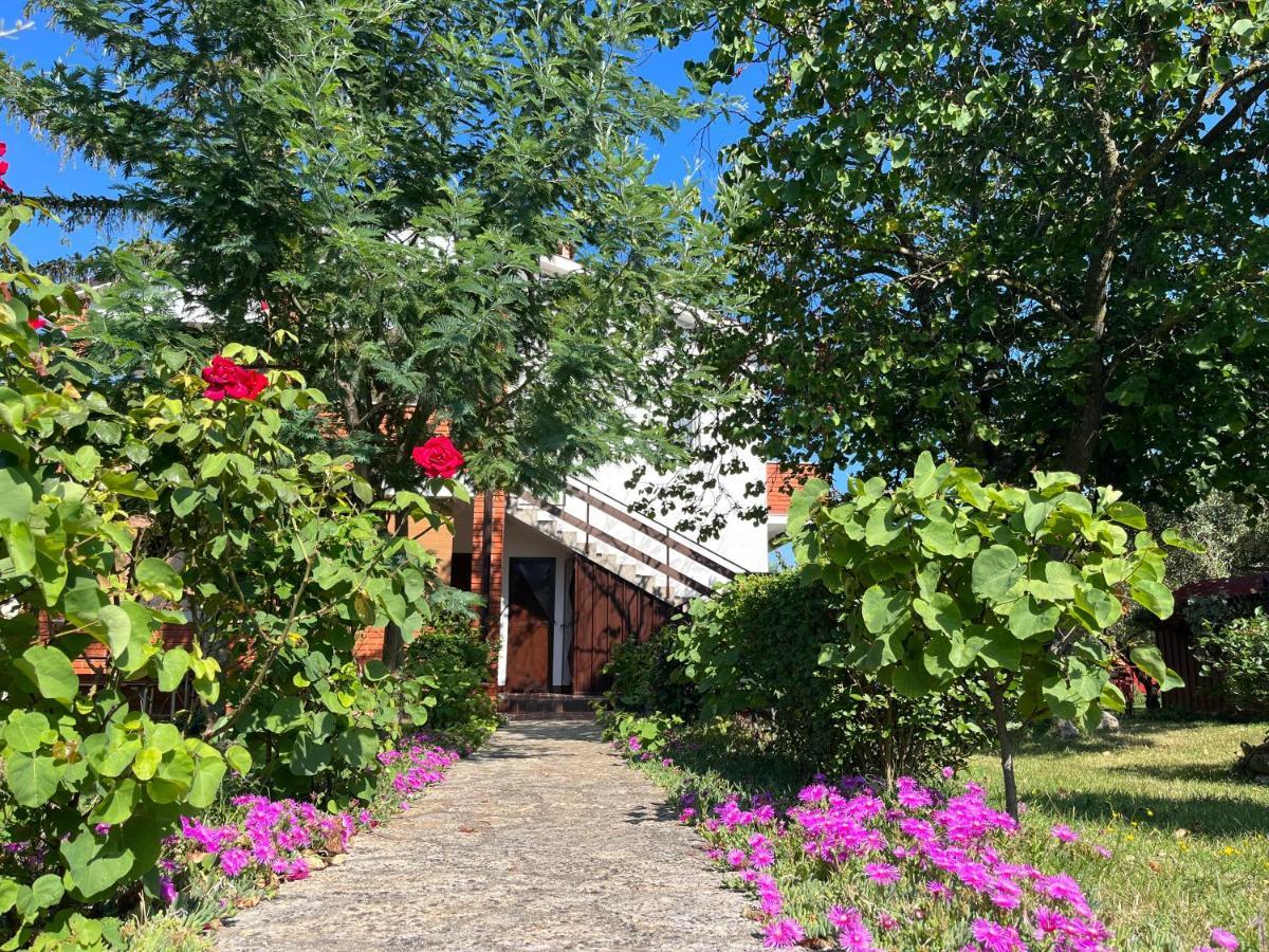 Annamaria Home بولا المظهر الخارجي الصورة